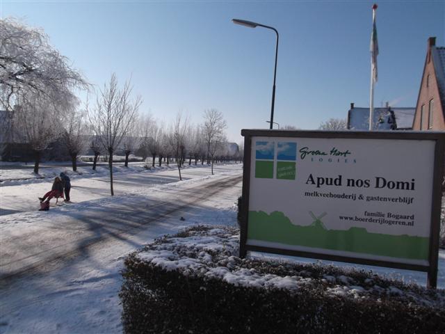 bord met ijs.jpg